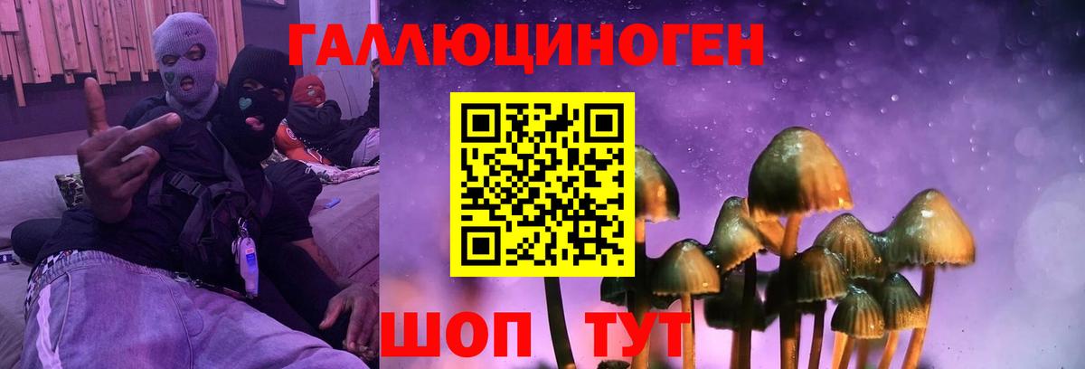 Галлюциногенные грибы GOLDEN TEACHER  Галлюциногенные грибы Psilocybine cubensis  Александров  Вход с VPN 